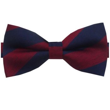 Navy & Dark Red Stripes Bow Tie